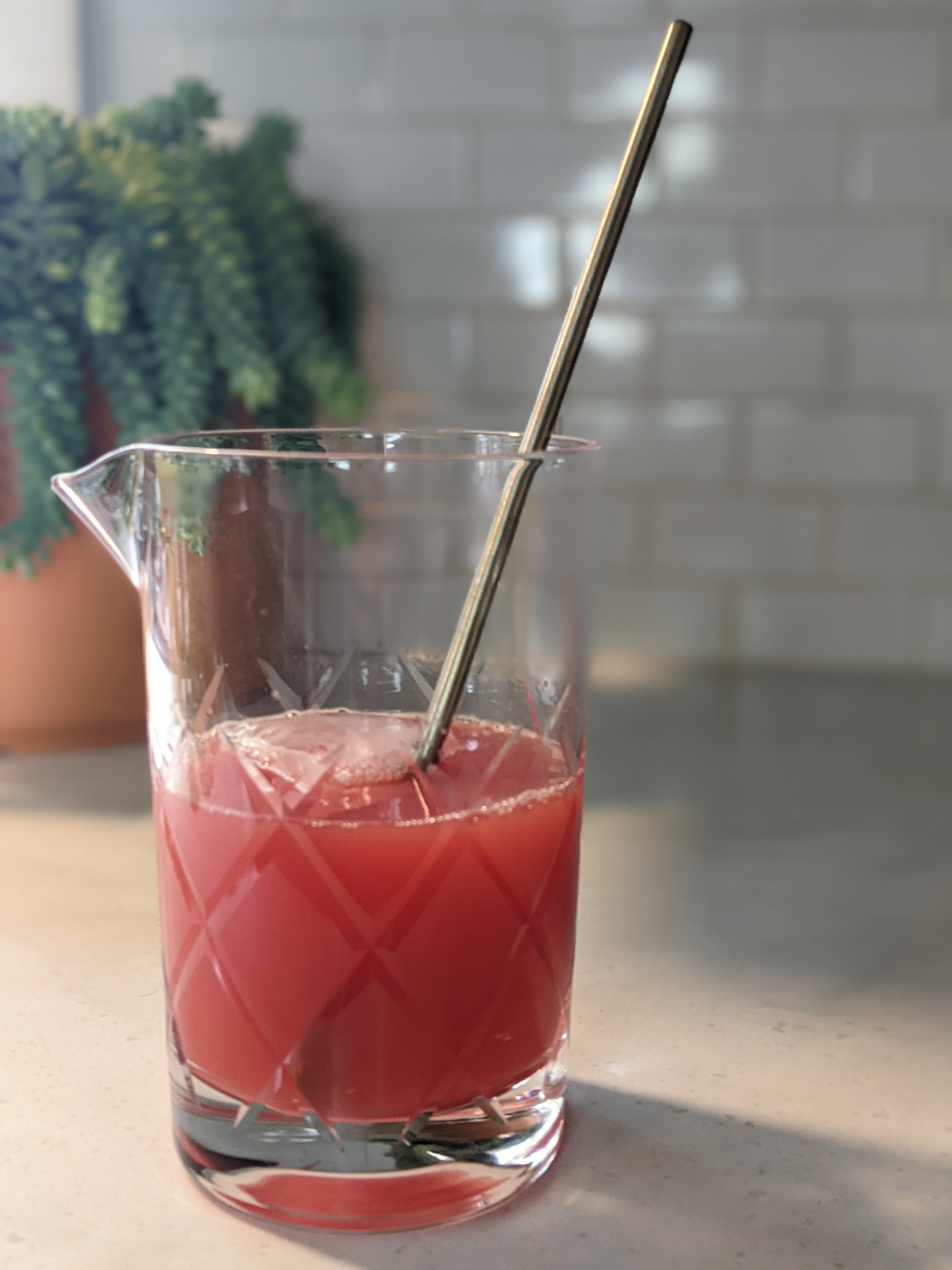 Watermelon Cocktail Punch